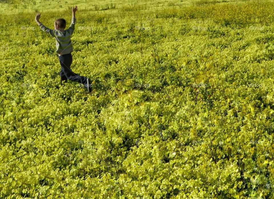 Boy Running Free
