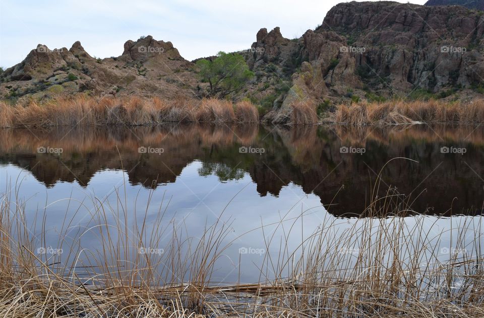 Beautiful reflection in a Arizona pond of the impressive rock structures and plant life