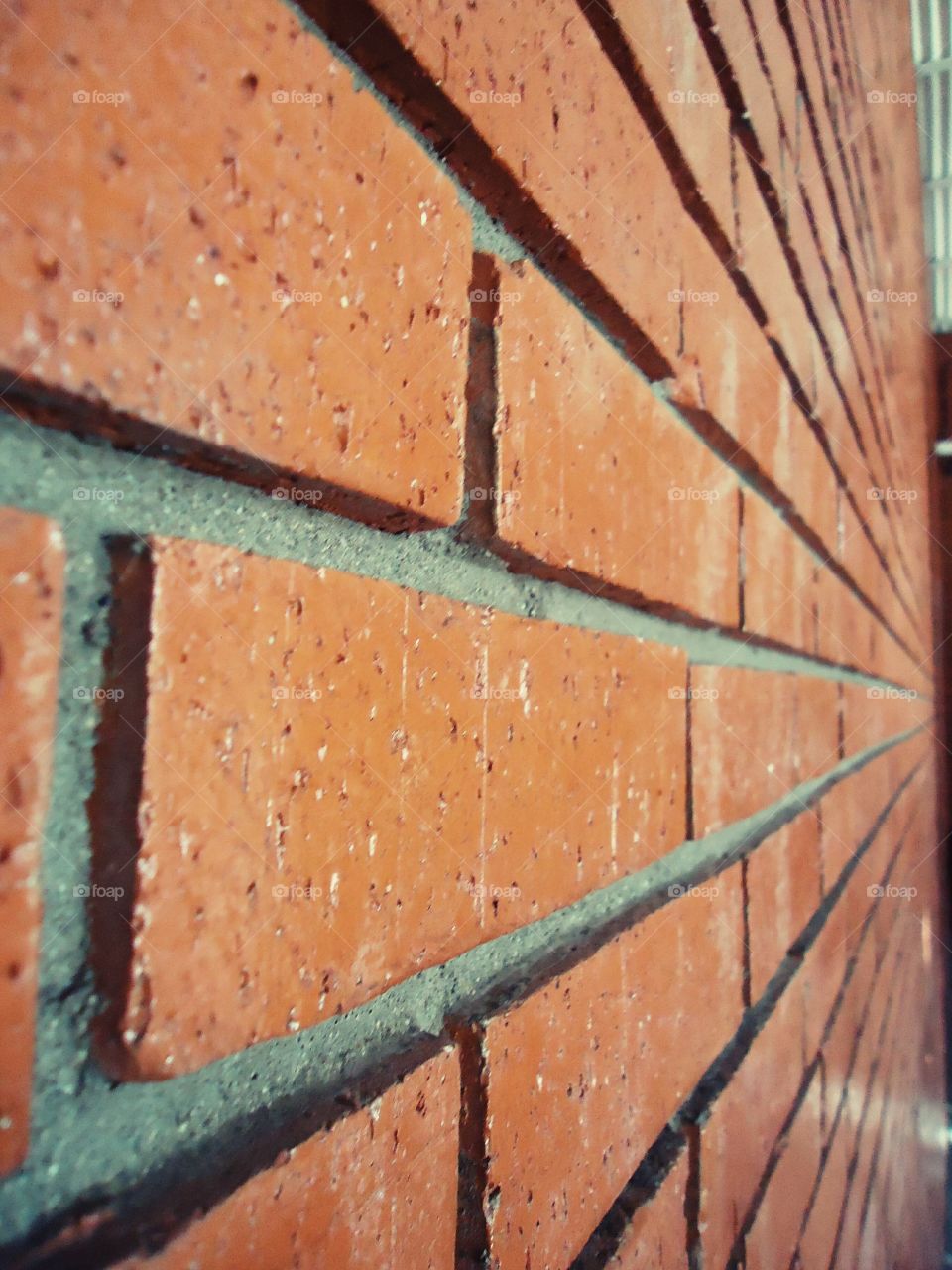 brick wall. this wall is part of an ancient arts school in  my hometown, called  "Casa del Arte" (House of Art)