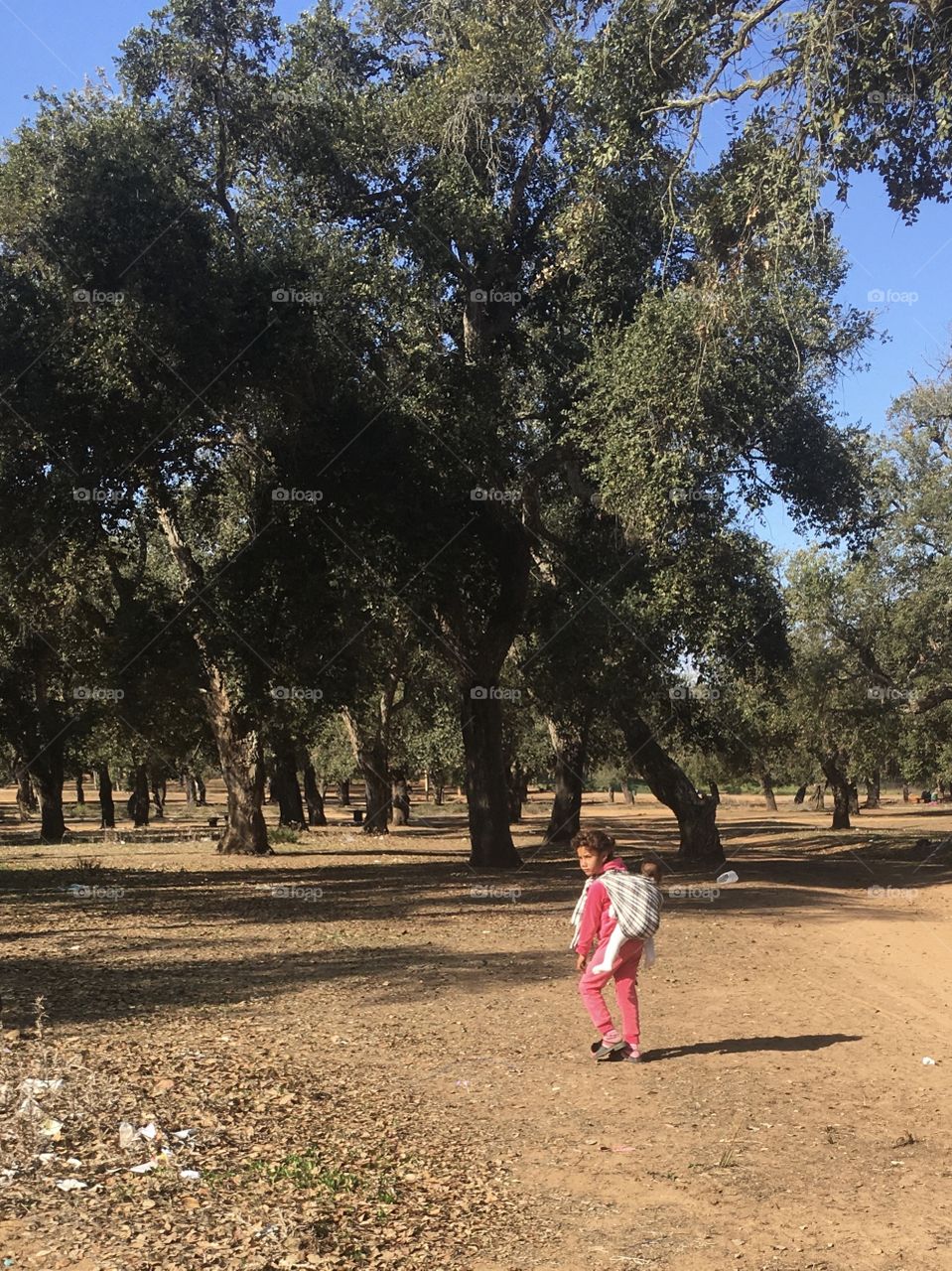 Maamoura forest kids