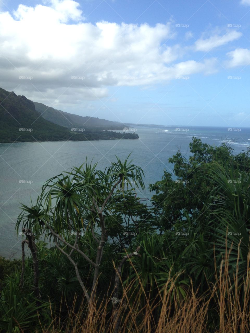 view from the top of the island 