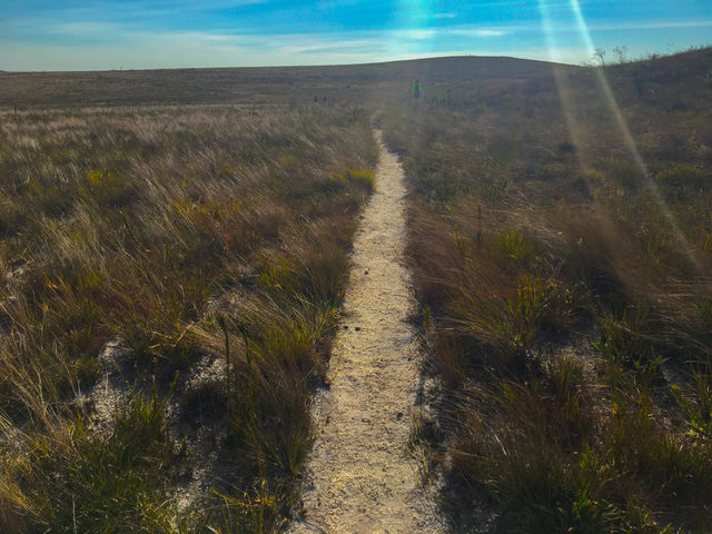 Natural light reflecting on the trail in the field