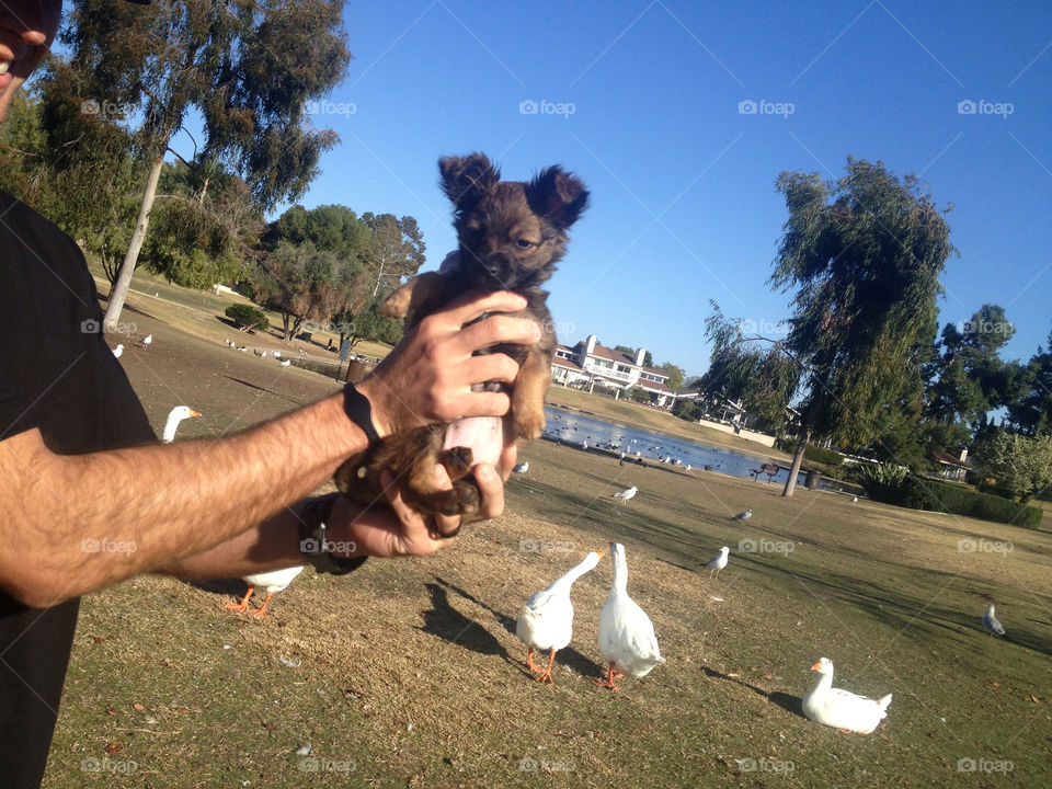 Baby Tiffany before chasing all the ducks at the pond :)