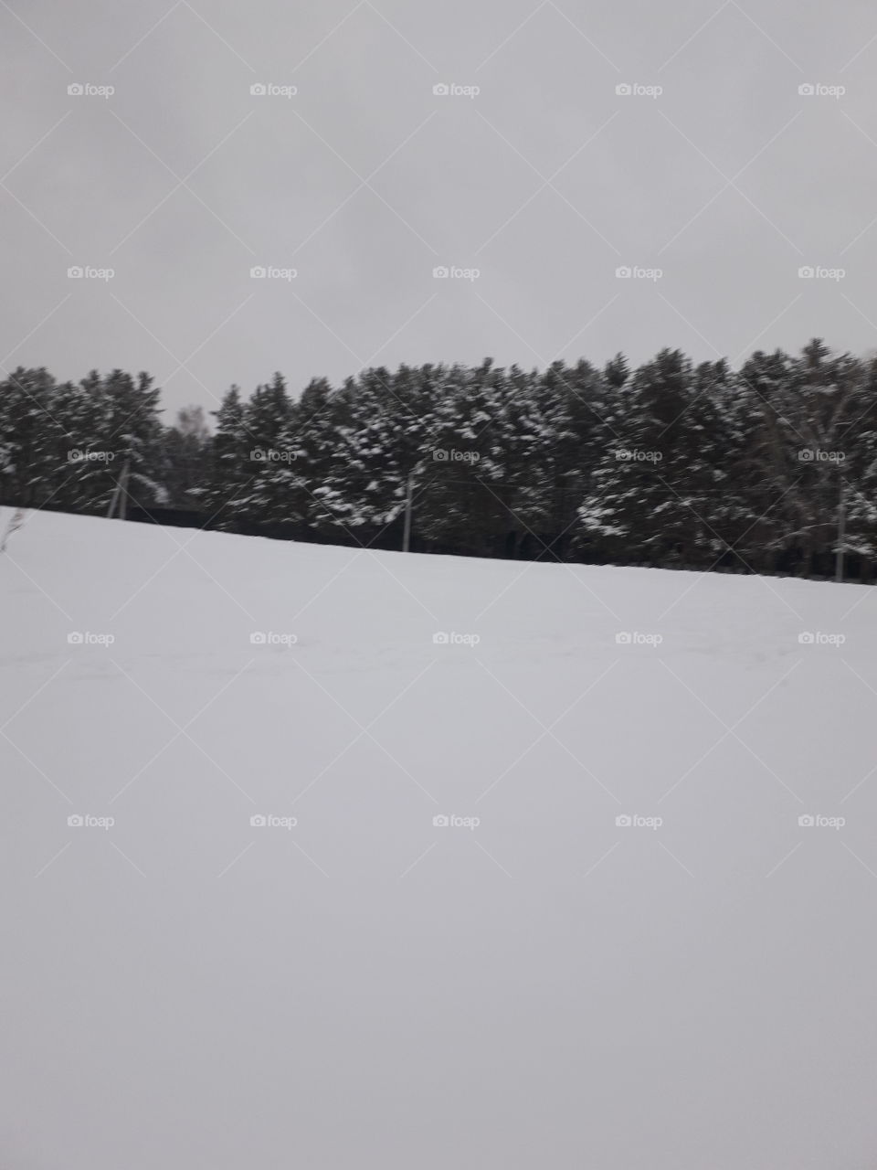 Landscape, Snow, Fog, Winter, Tree