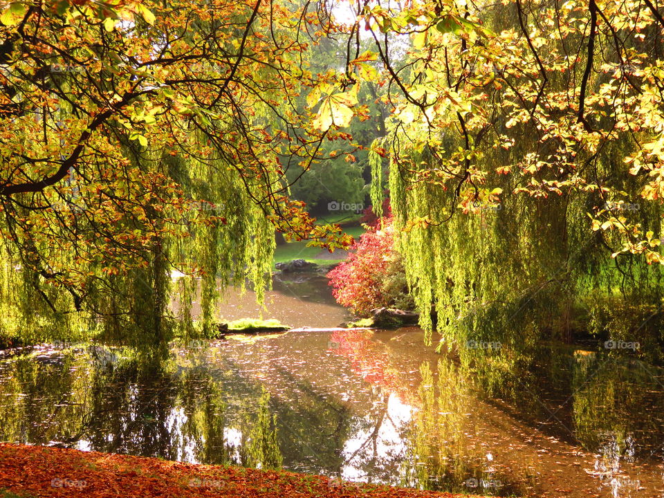 gorgeous park