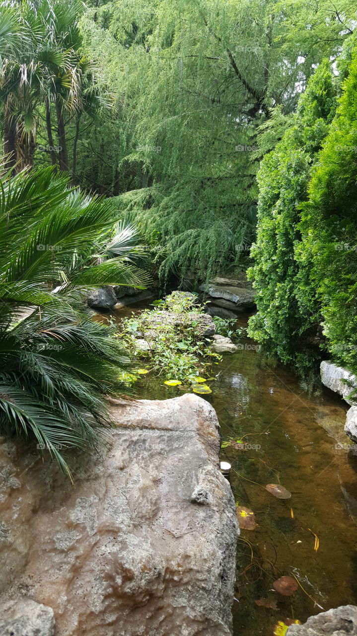 green botanical garden pond