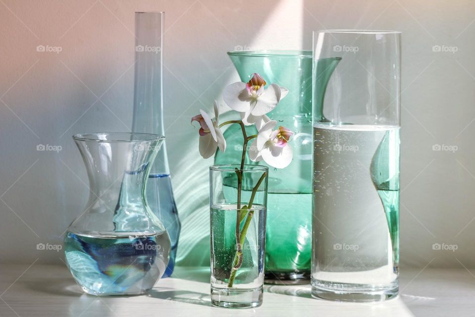 Still life with vases and orchids