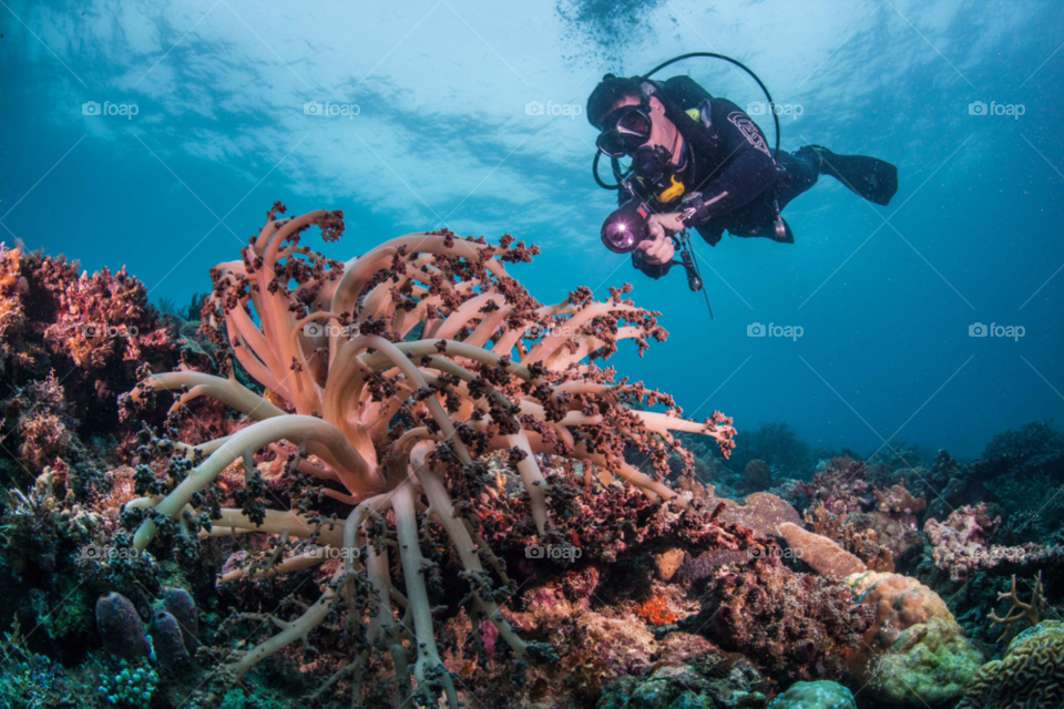 philippines diver cebu underwater by paulcowell