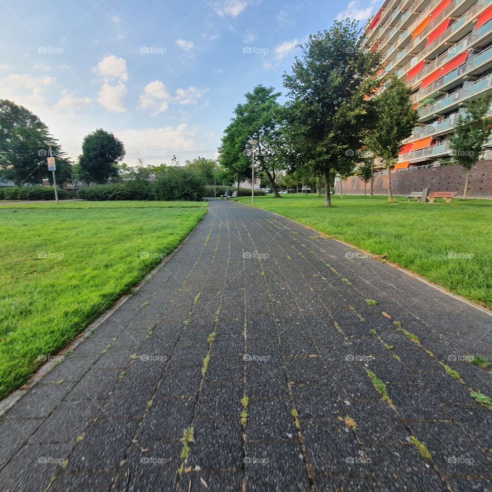 On the street in the Netherlands Rotterdam