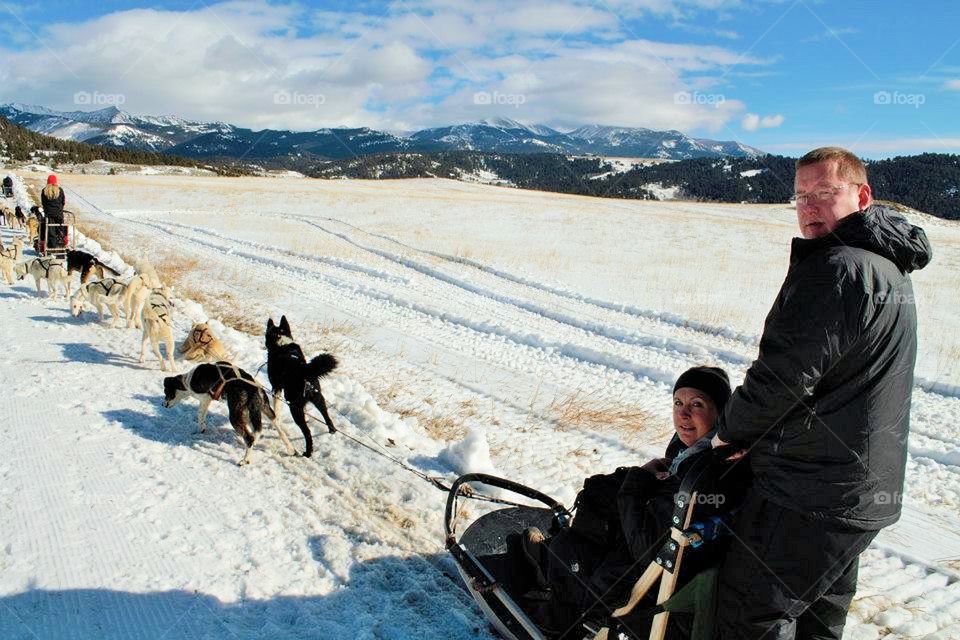 Dog Sledding in Montana