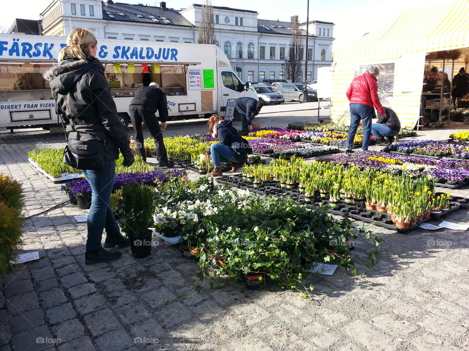 Market day
