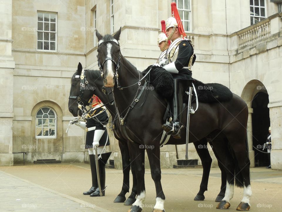 Horse guard inspection