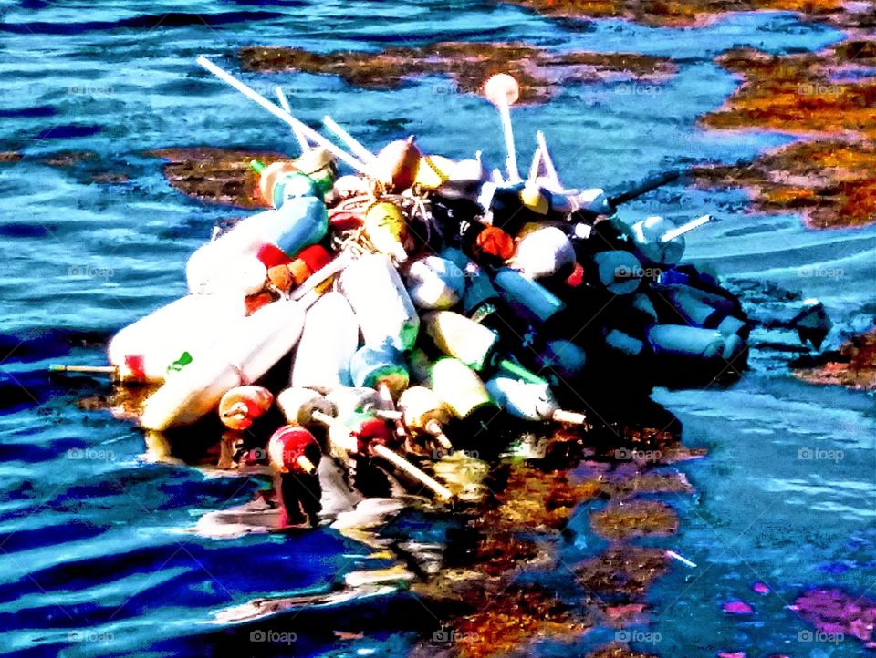 fishing buoys floating