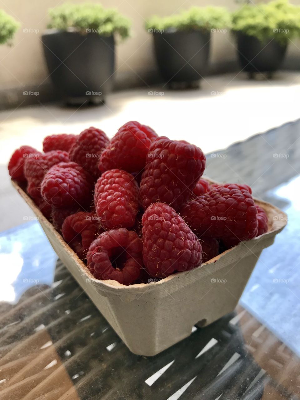 Delicious summer gifts: sweet raspberries 