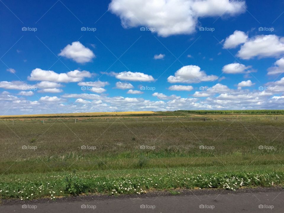 Landscape, No Person, Sky, Nature, Farm