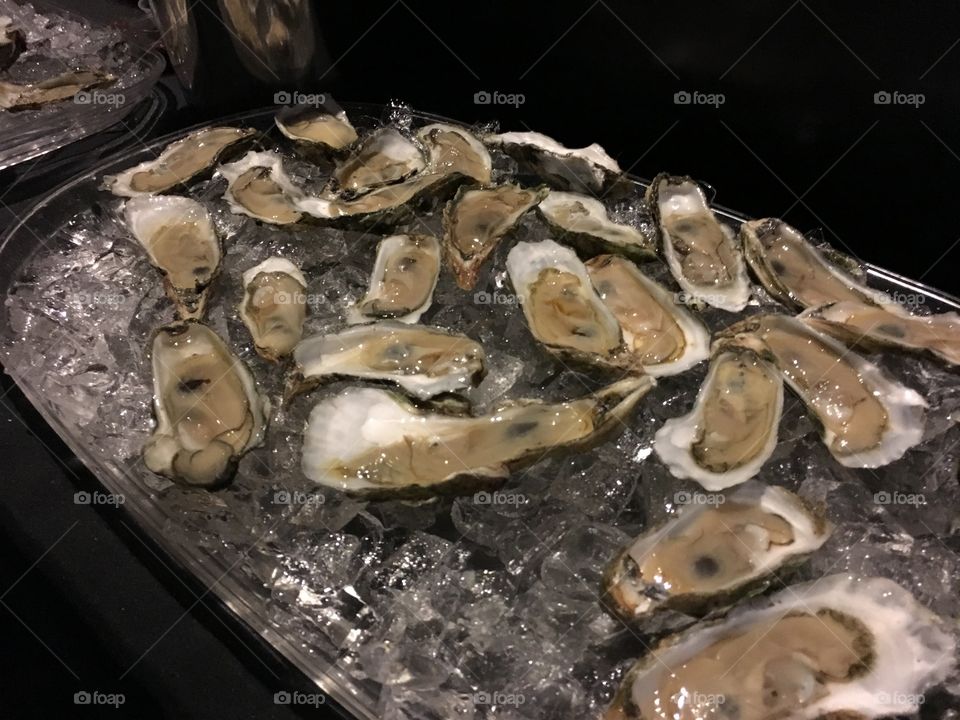 Cold oyster bar