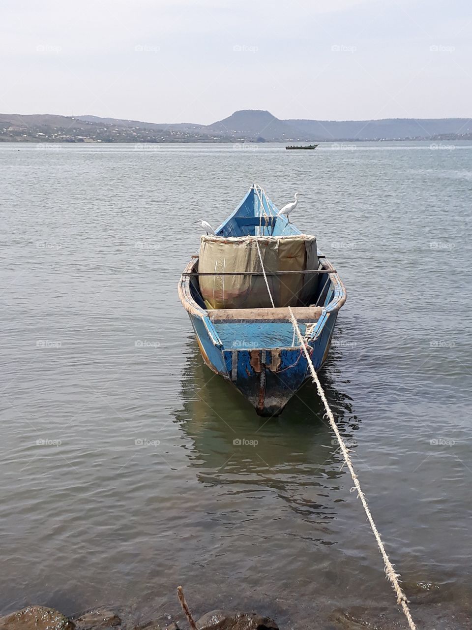 Fishing at Lake Victoria the 3rd Largest Fresh Water Lake in the World