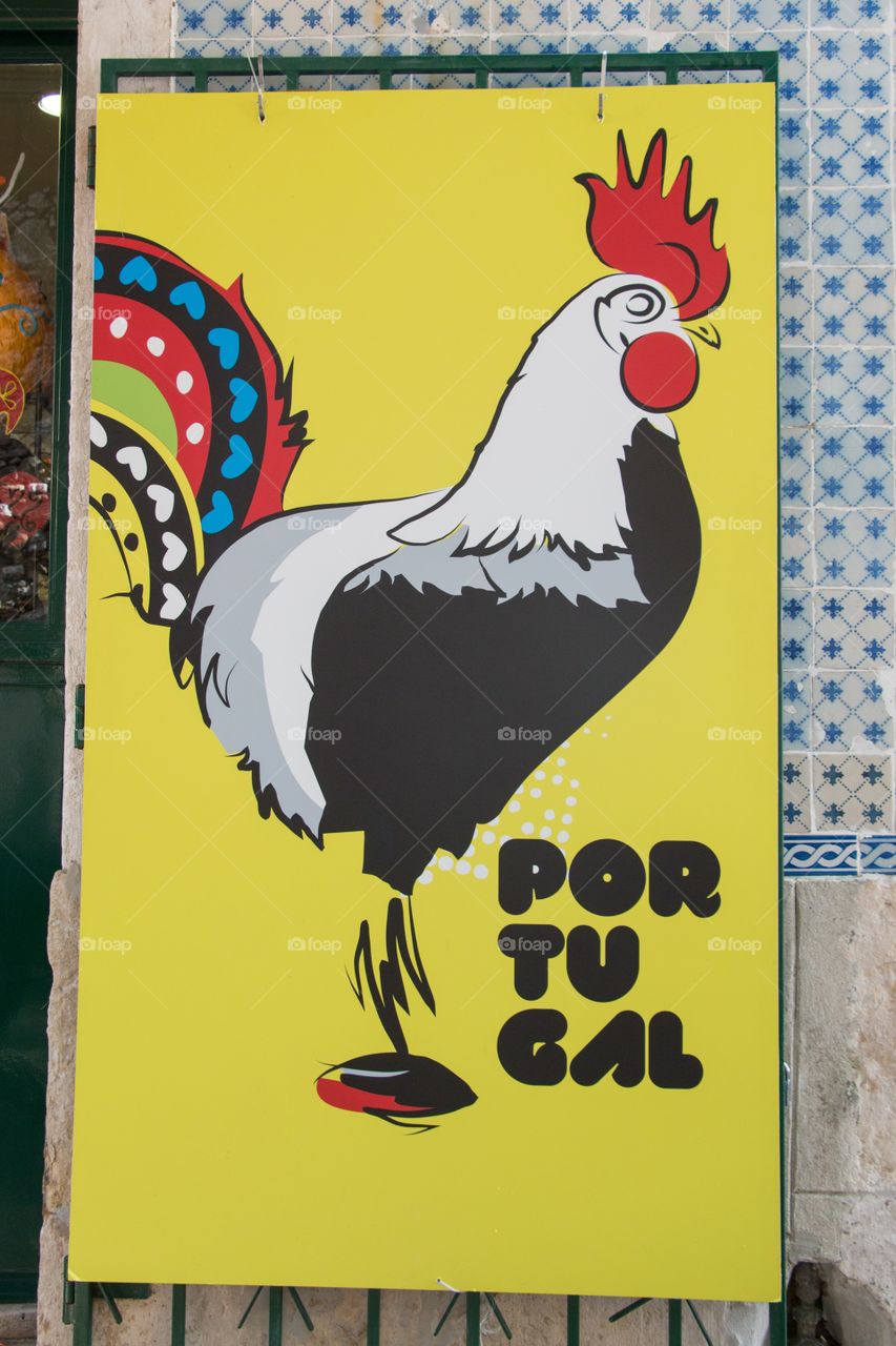 Portugal cock 