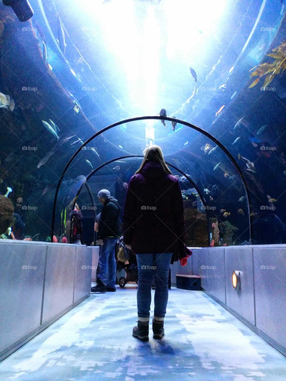 aquarium