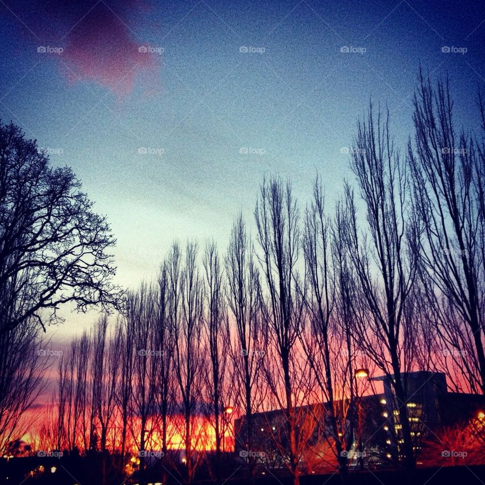 Nike campus sunset 