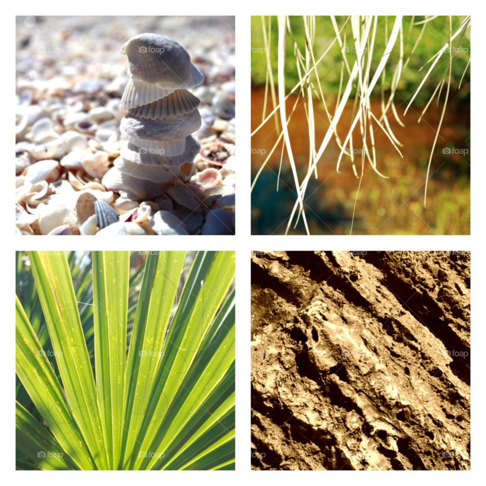 beach nature tree calm by solerito