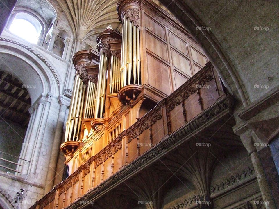 Organ in a cathedral.