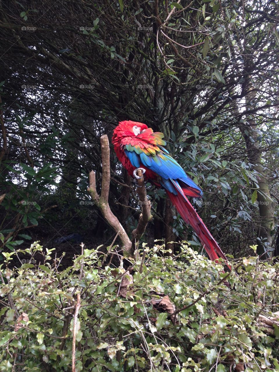 Combe Martin wildlife and dinosaur park