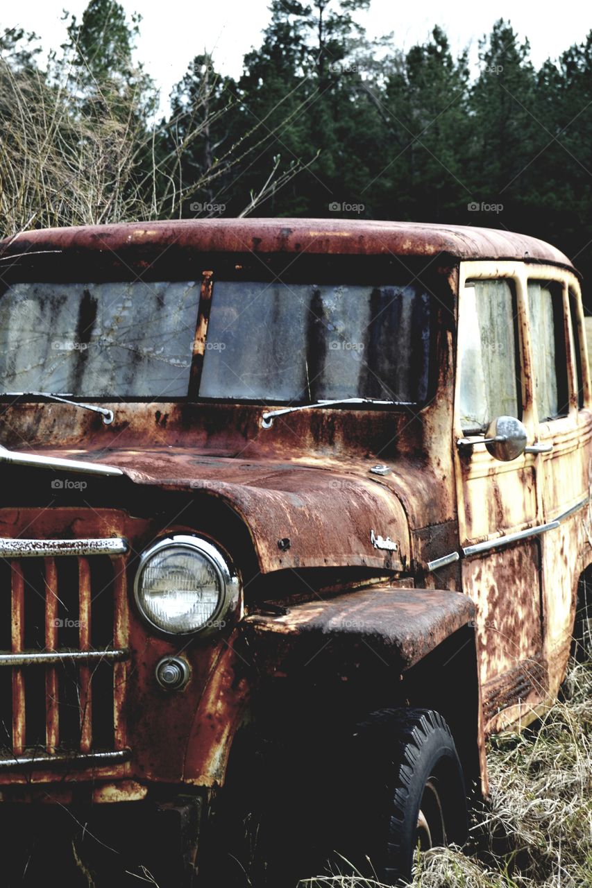 Rusted beauty
