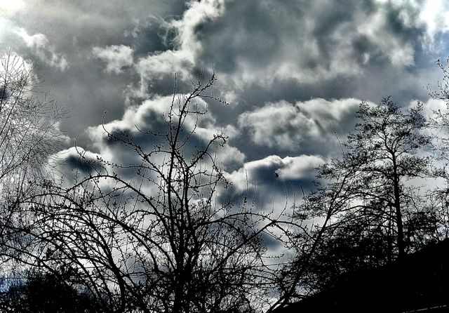 Sky