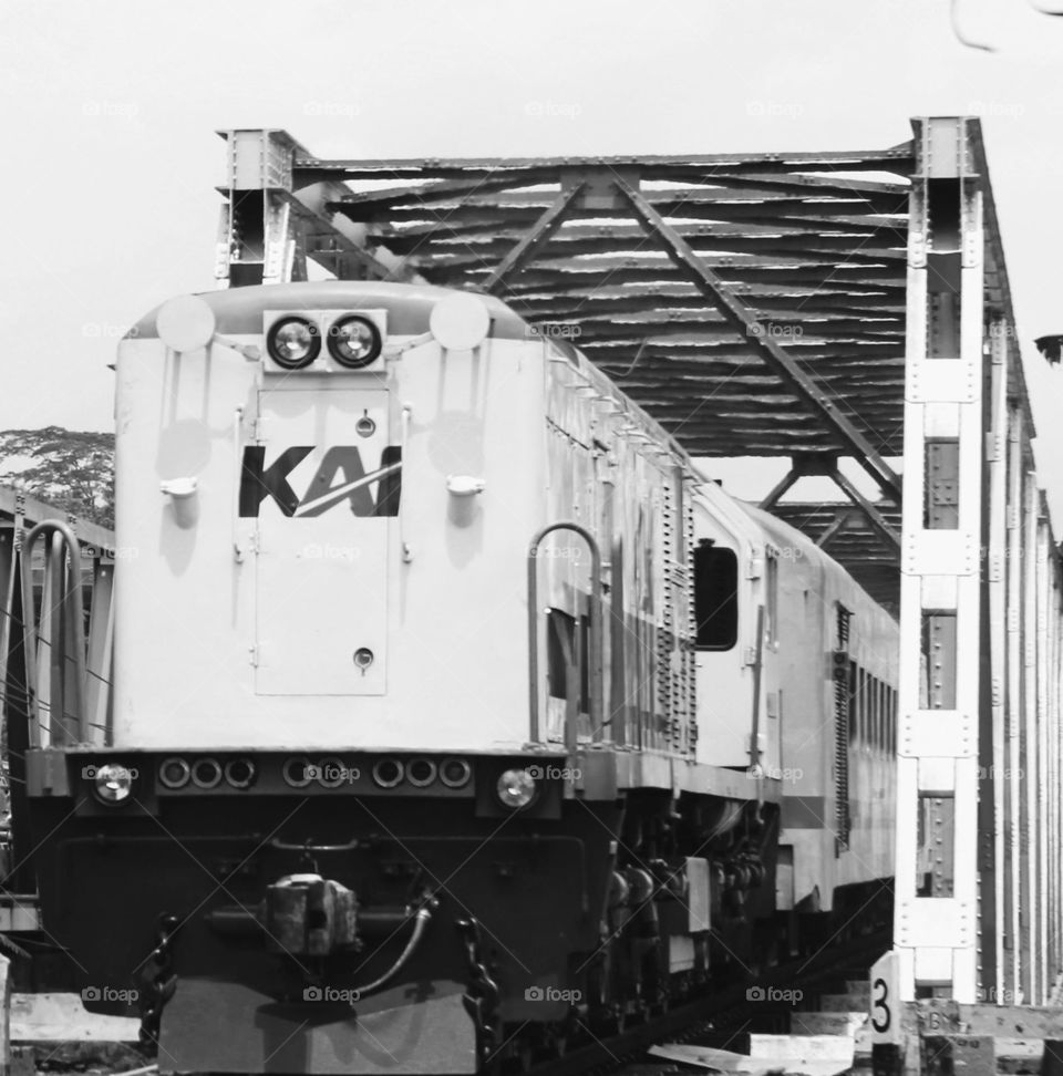 The train locomotive came into view as the train drove over the long bridge