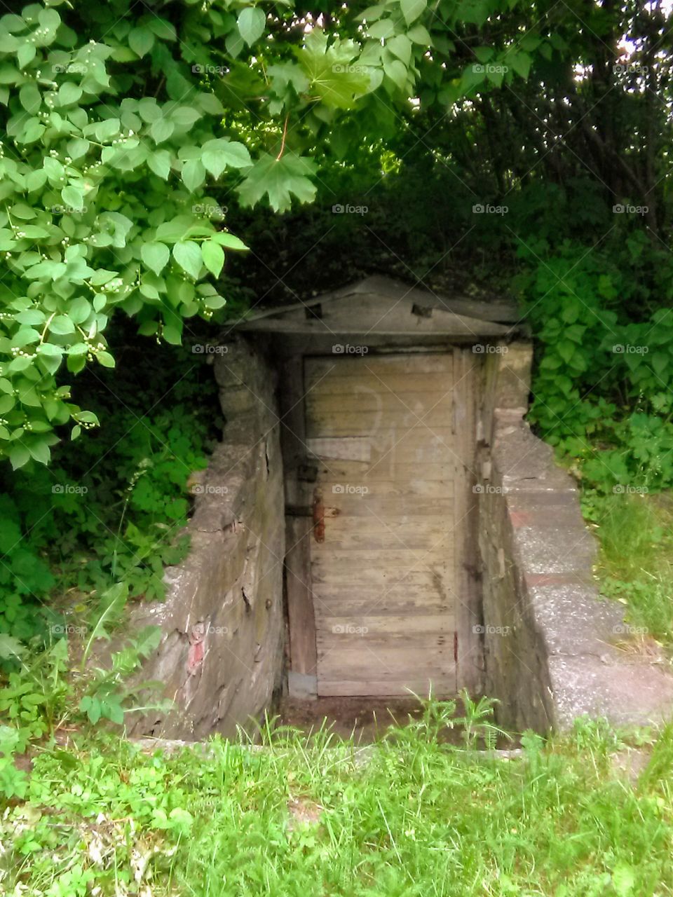 Latvija . Entrance to the cellar