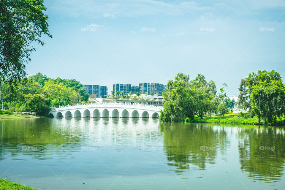 beautiful white bridge across the lake