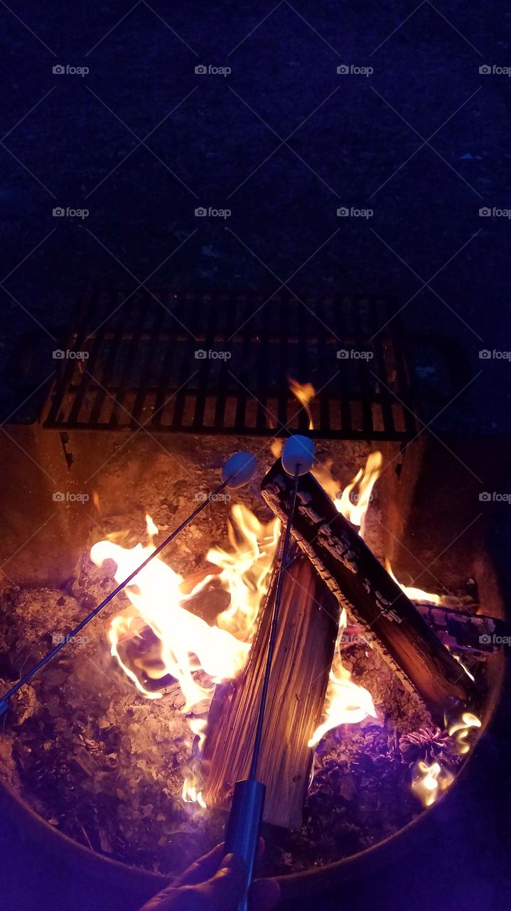 Roasting marshmallows over the fire pit