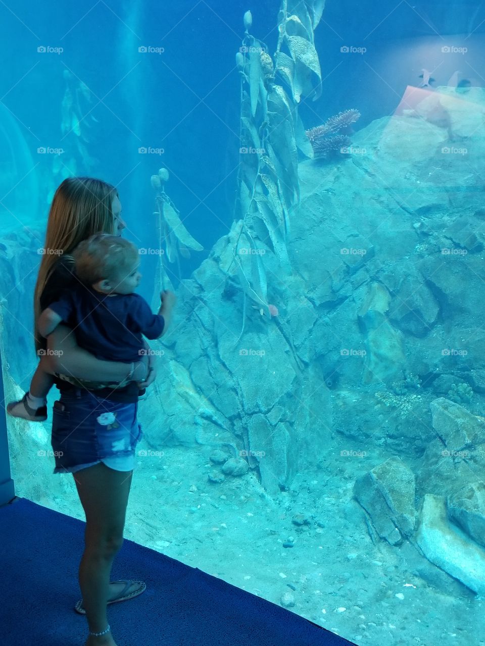Detroit Zoo Aquarium