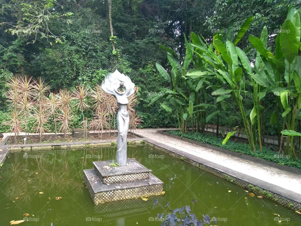 Jardim botânico