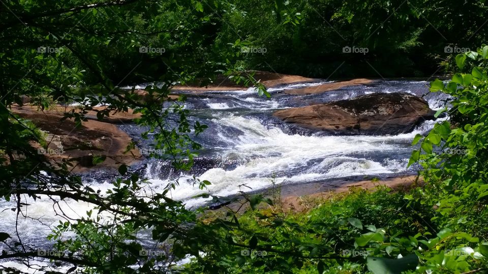The Towaliga river inside High falls state park, Georgia