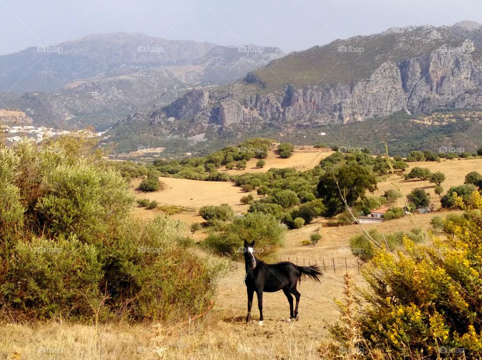 Schönes Andalusien