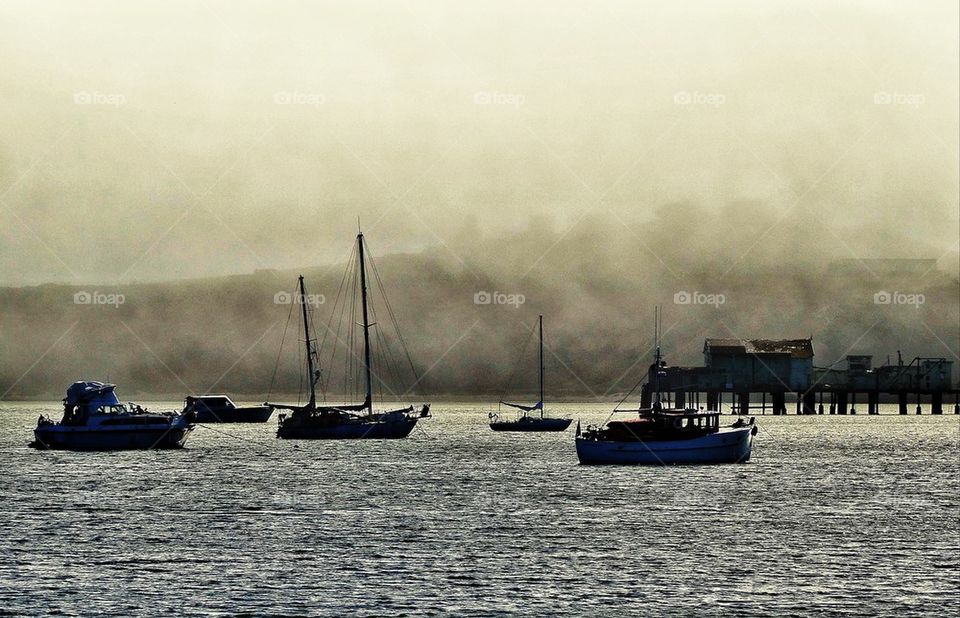 Fishing boats in a Pacific harbor