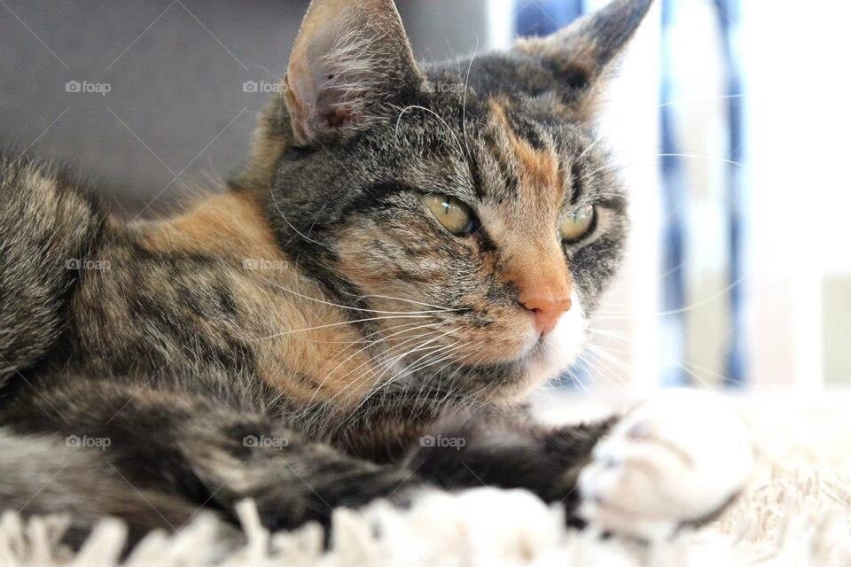 Seeing things in a different prespective