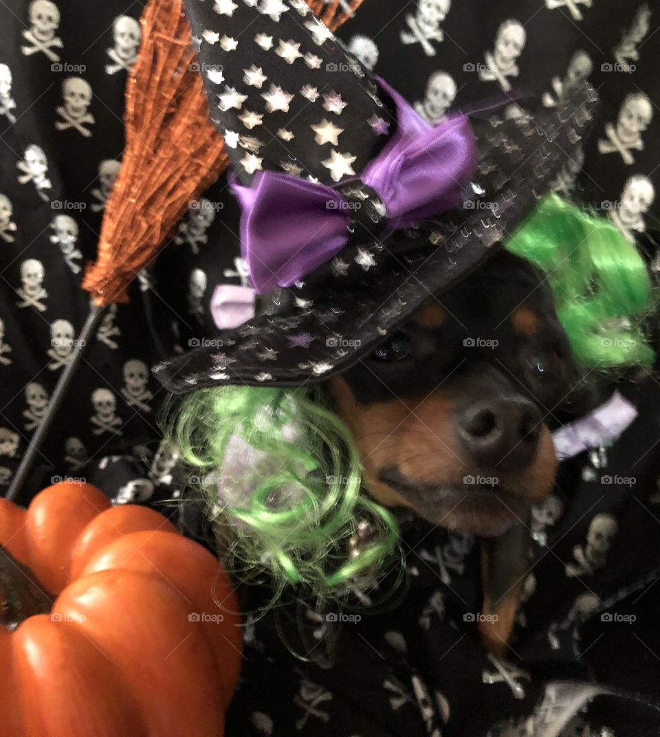 Min pin witch 