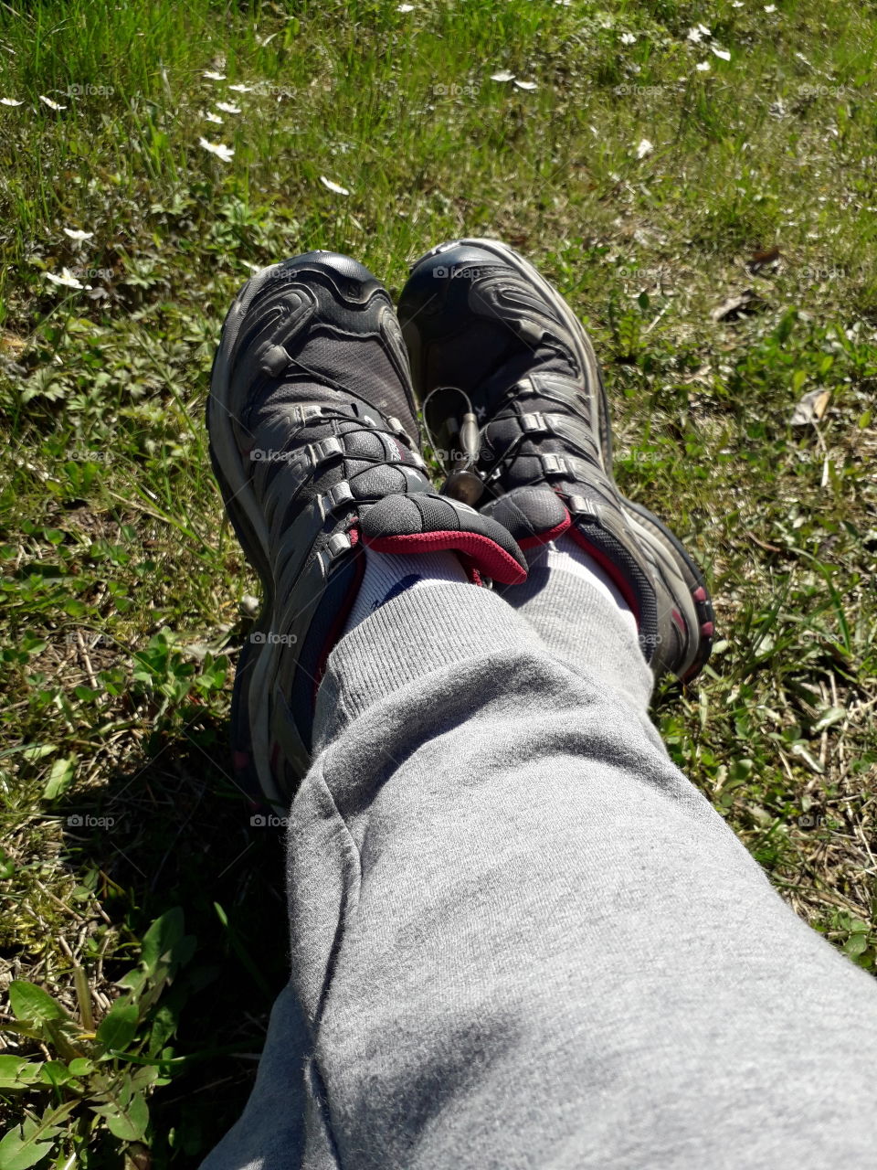 resting on the grass