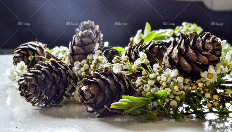 Pinecones and Flowers