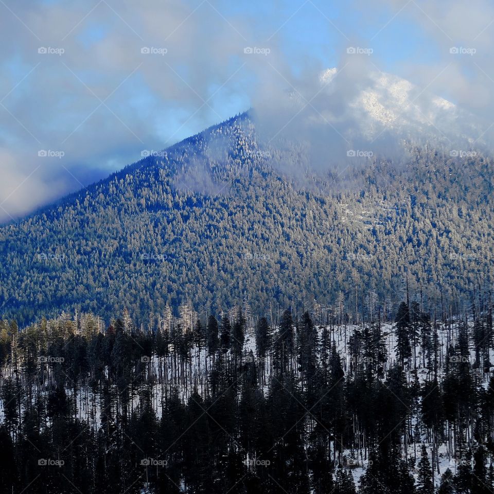 Black Butte in Central Oregon covered in snow and trees with clouds floating around its peak on a winter day. 