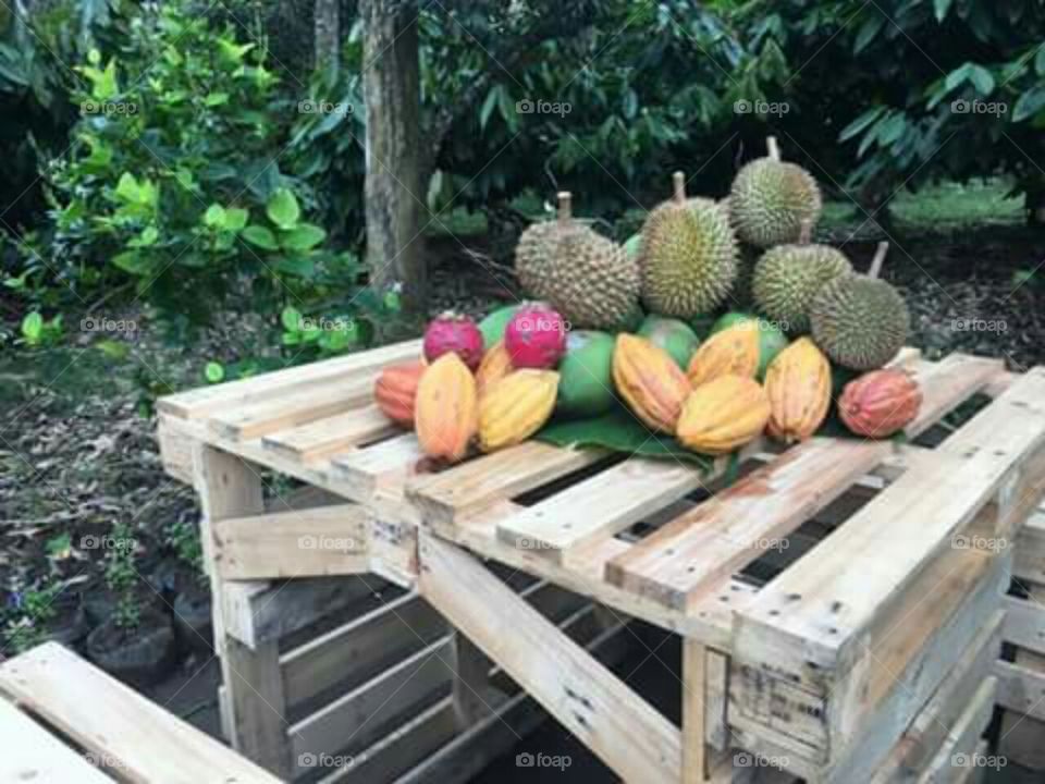 Fresh and beauty fruits of Philippine