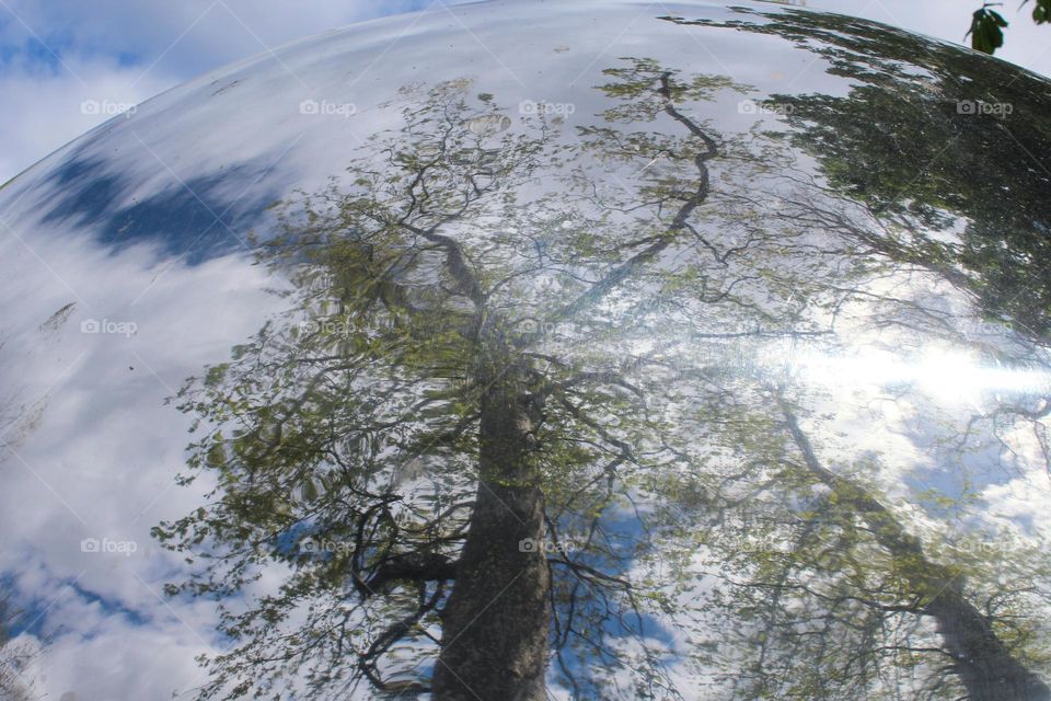 A spherical mirror in nature in which big trees and sky are reflected