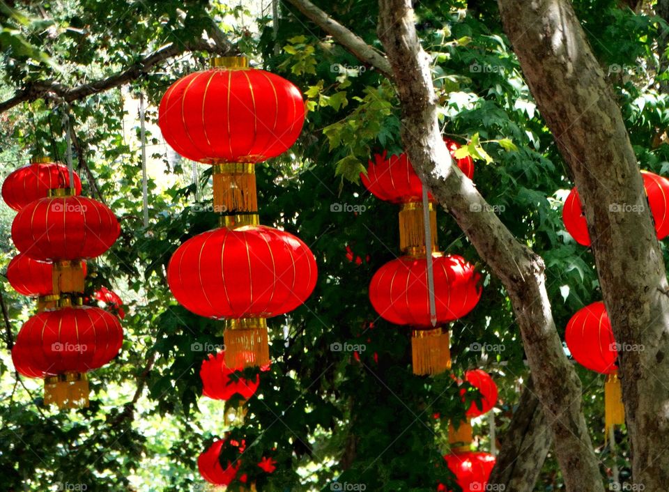 Red Chinese Lanterns
