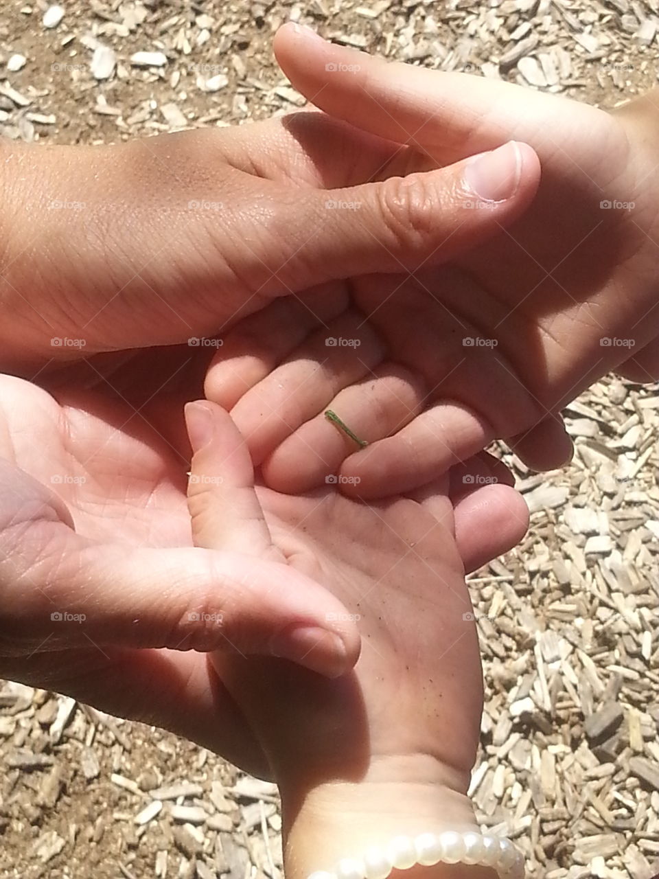 Friends and a Caterpillar. While at the playground,  new friends of Carmen found a caterpillar and wanted a picture for their dad to see their find