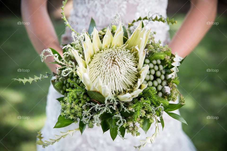 white and green - image of bride in white dress holding flower bouquet with white king protea flower and green leaves around