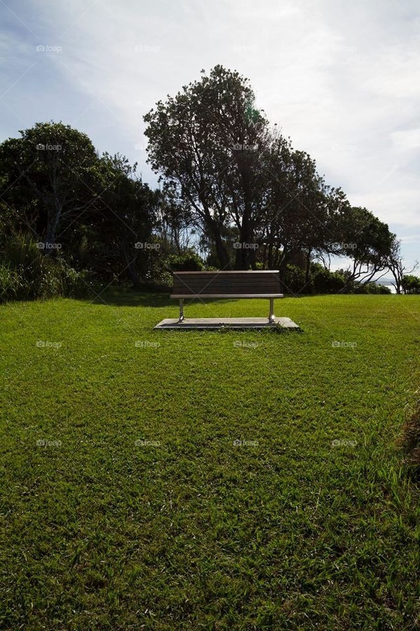 Hungry Head Lookout Bench 