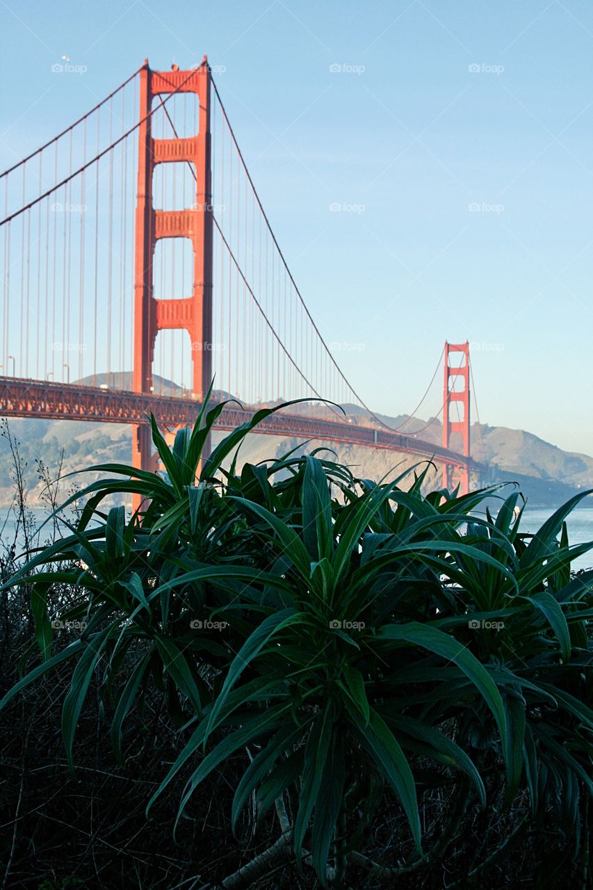 Golden Gate Bridge 